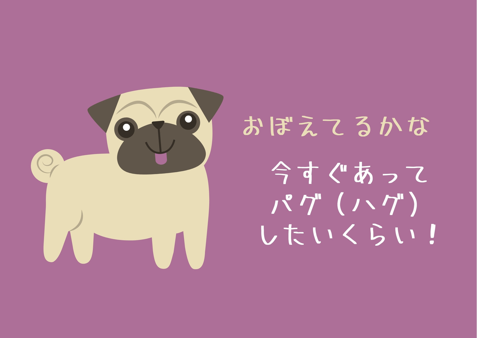 パグ様ご確認ページ 【公式通販】