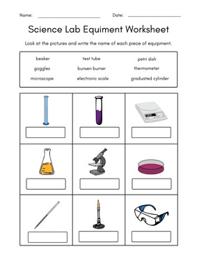 Science Lab Equipment Worksheet Lab Apparatus | Free Interactive