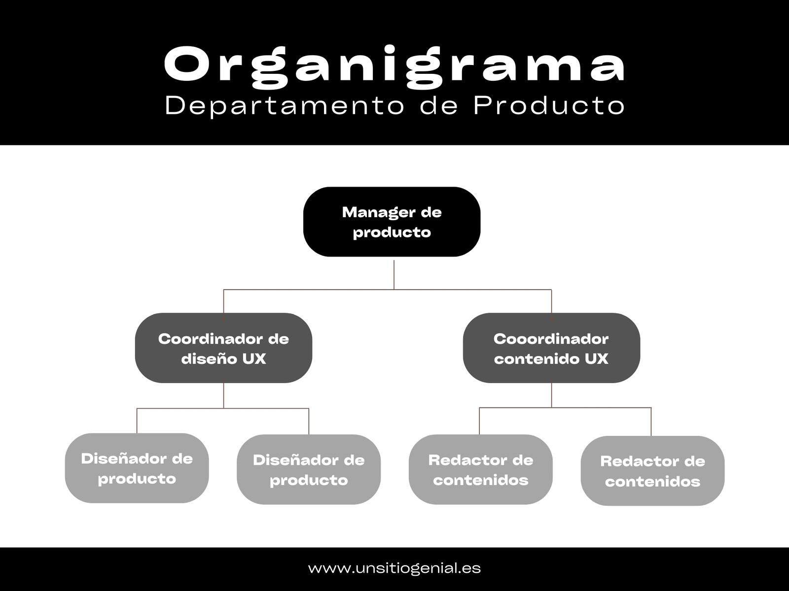 Gráfico Organigrama Corporativo Minimalista Blanco y Negro