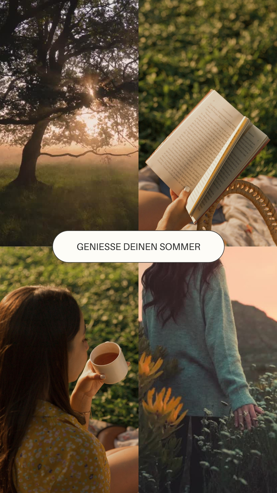 Grün Braun Natürlich Ästhetisch Sommer Film Collage Instagram Reel Video Grün Braun Natürlich Ästhetisch Sommer Film Collage Instagram Reel Video