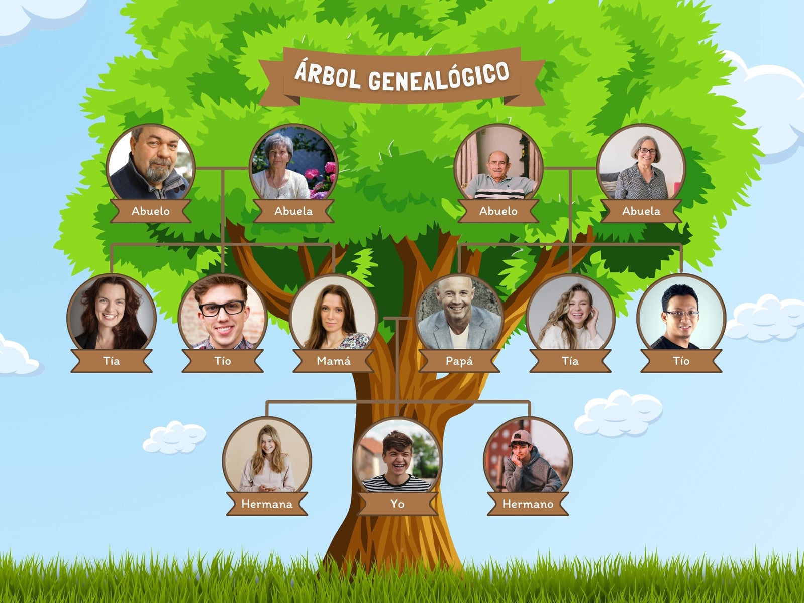 Grafico árbol genealógico de la familia ilustrativo infantil verde y marrón