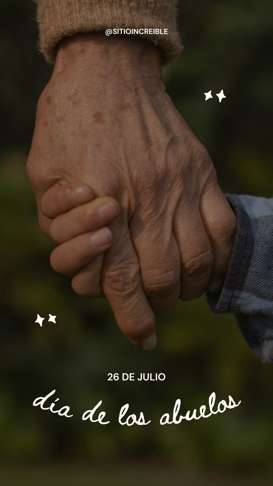 Historia de Instagram Día de los Abuelos Marco Foto Manos Minimalista Verde y Blanco