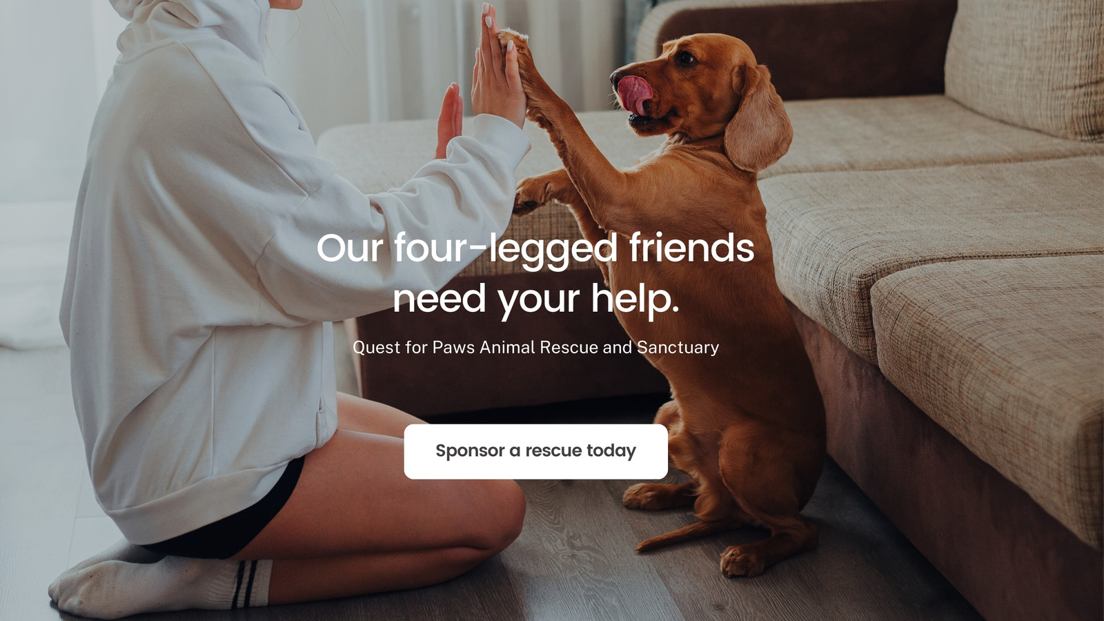 White and Black Simple Light Animal Charity Non-Profit Website