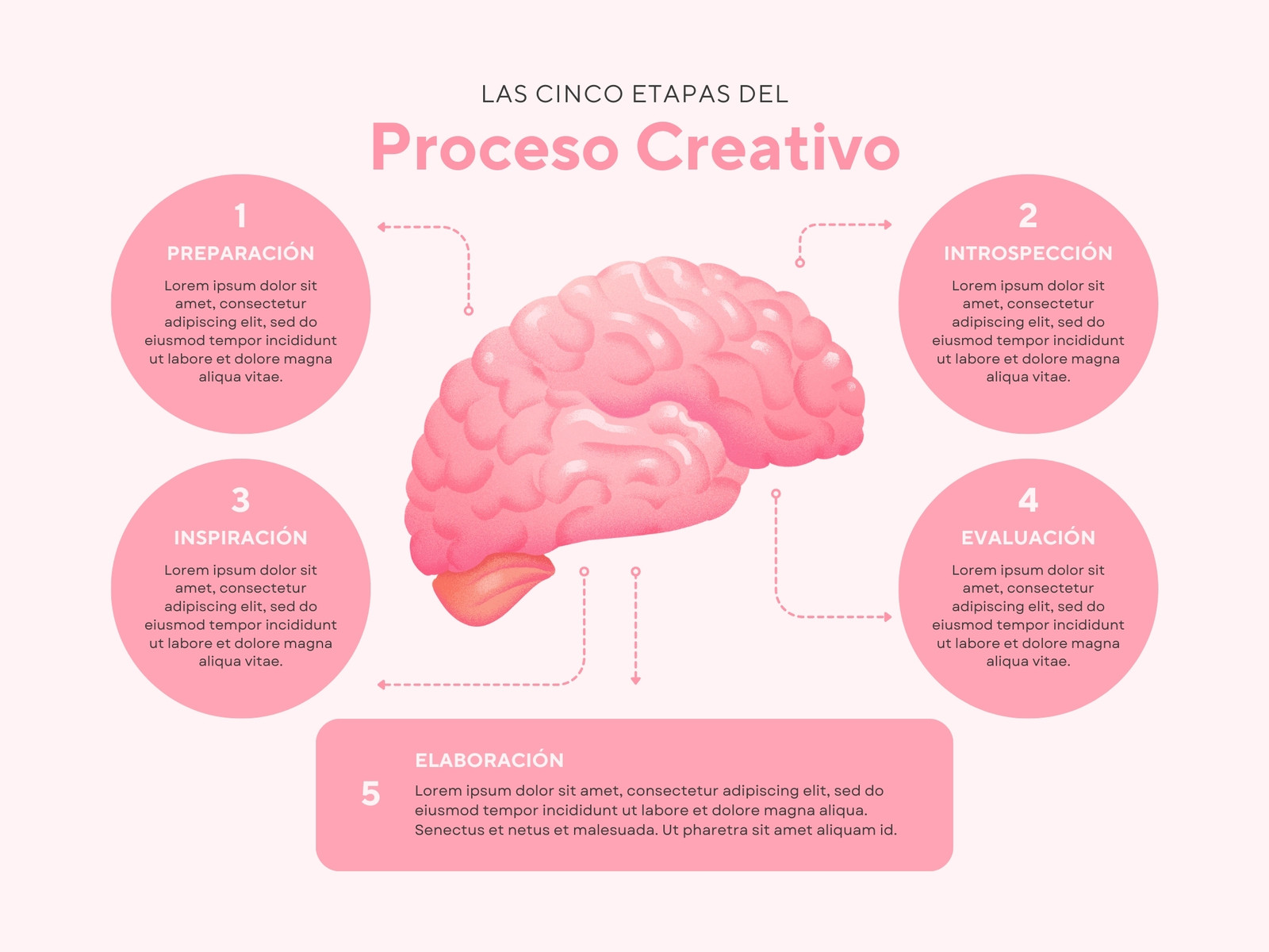 Gráfica Proceso Creativo Ilustrado Rosa
