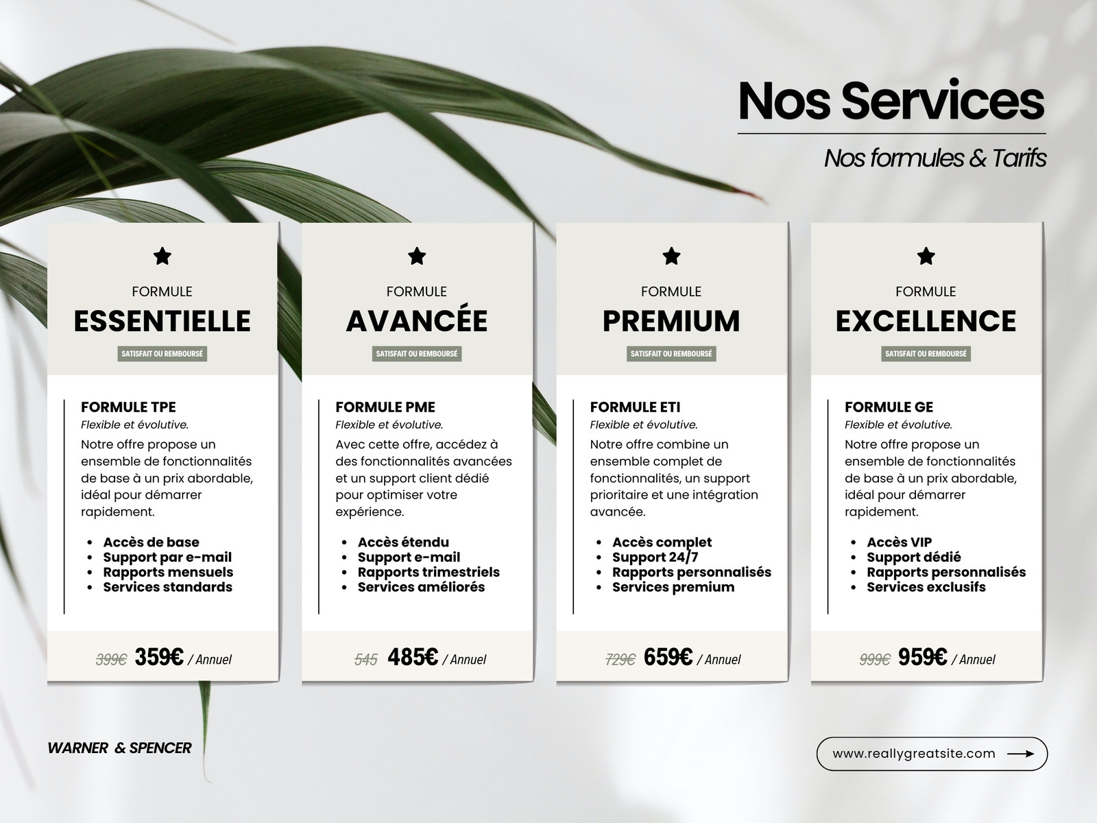 Document Comparatif Services Formules et Tarifs Professionnel Beige Blanc Noir