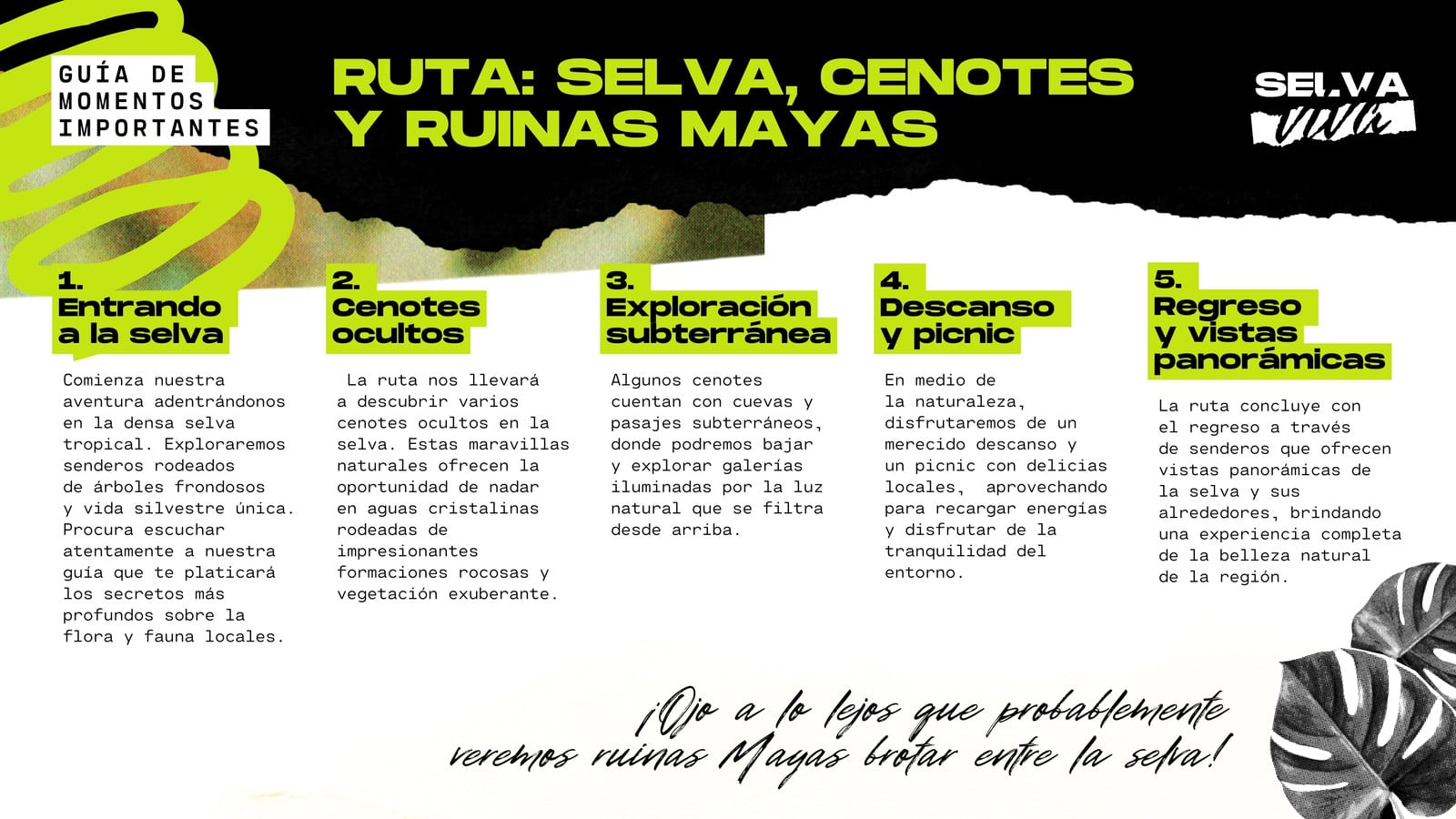 Diagrama de Flujo para agencia de senderísmo selvático en verde limón con negro y blanco