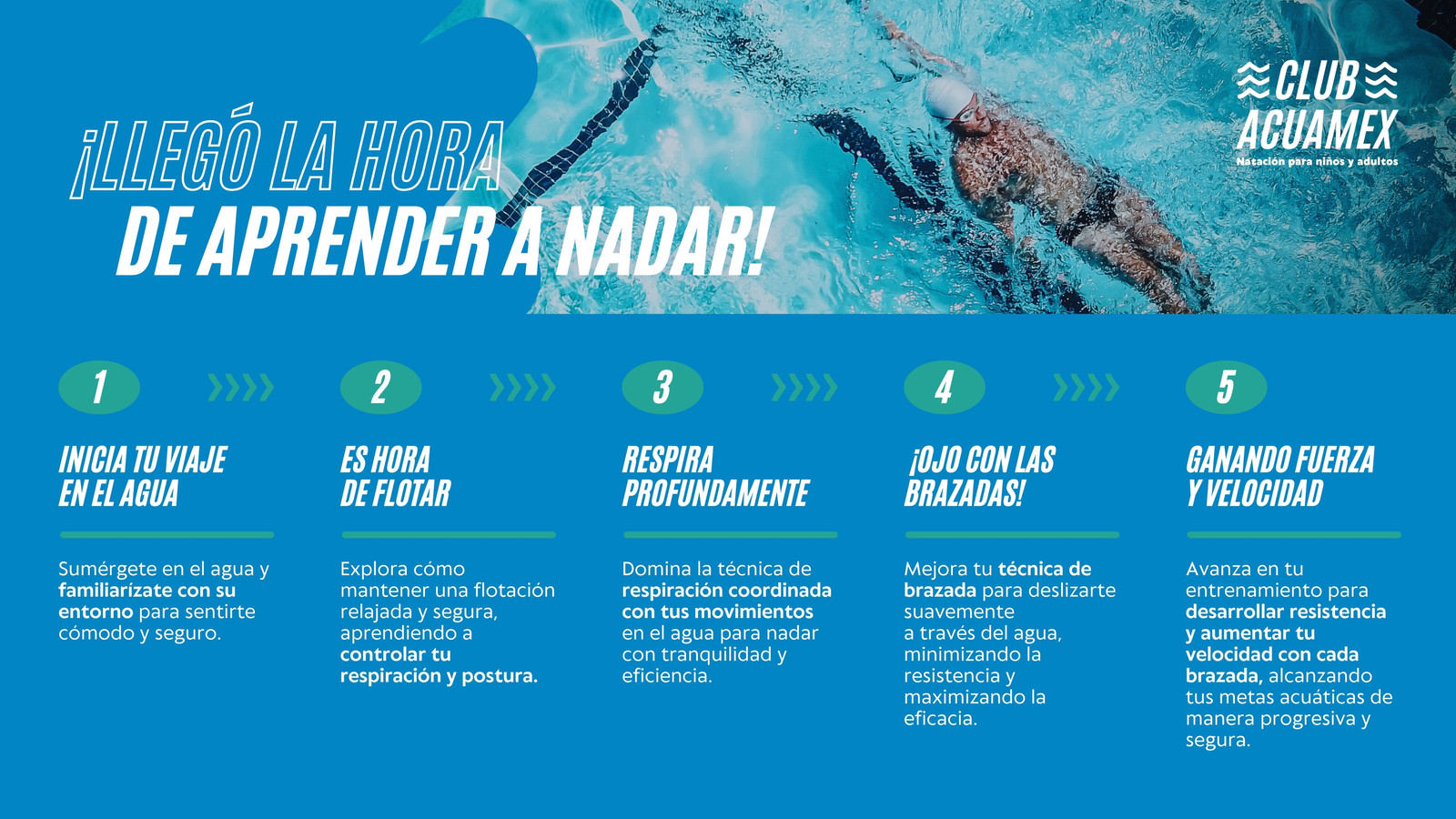 Diagrama de Flujo para club de natación para niños y adultos moderno en azul con blanco