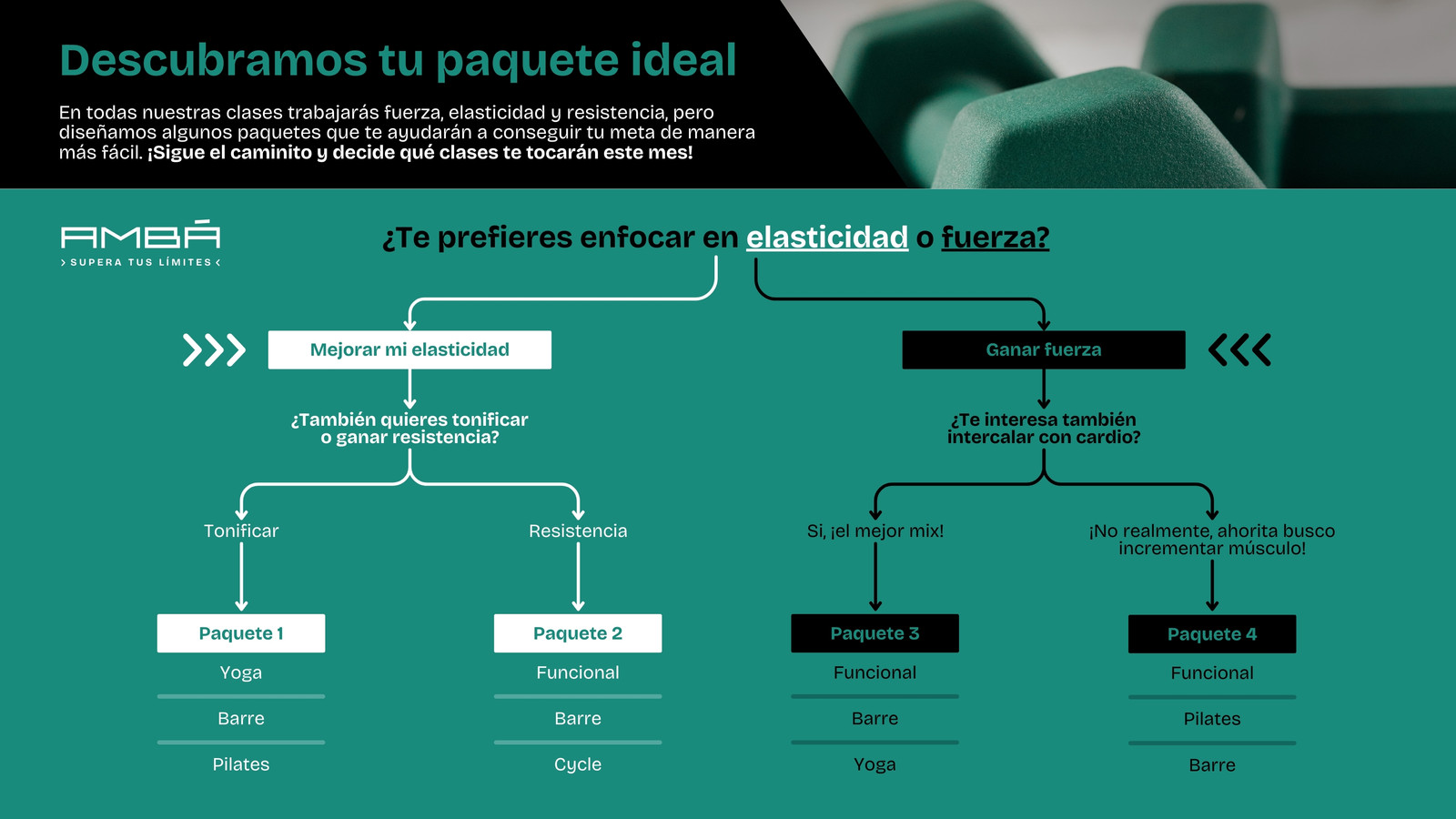 Árbol de decisión para espacio multifuncional moderno en verde oscuro con negro y blanco 