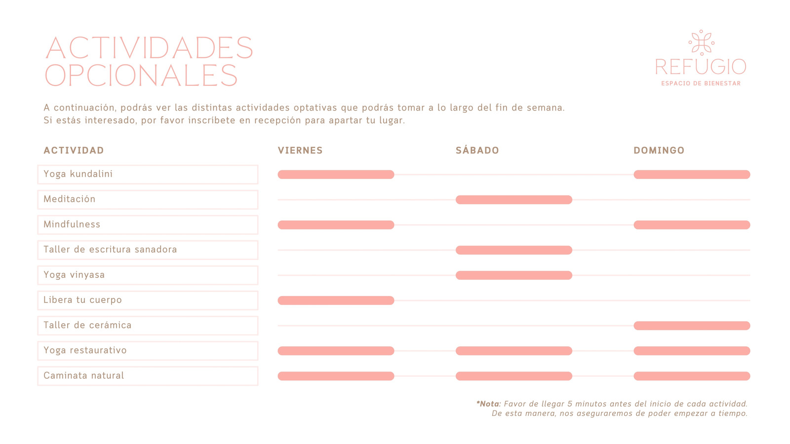 Gráfico de Gantt para wellness retreat femenina en rosa claro con beige y blanco 