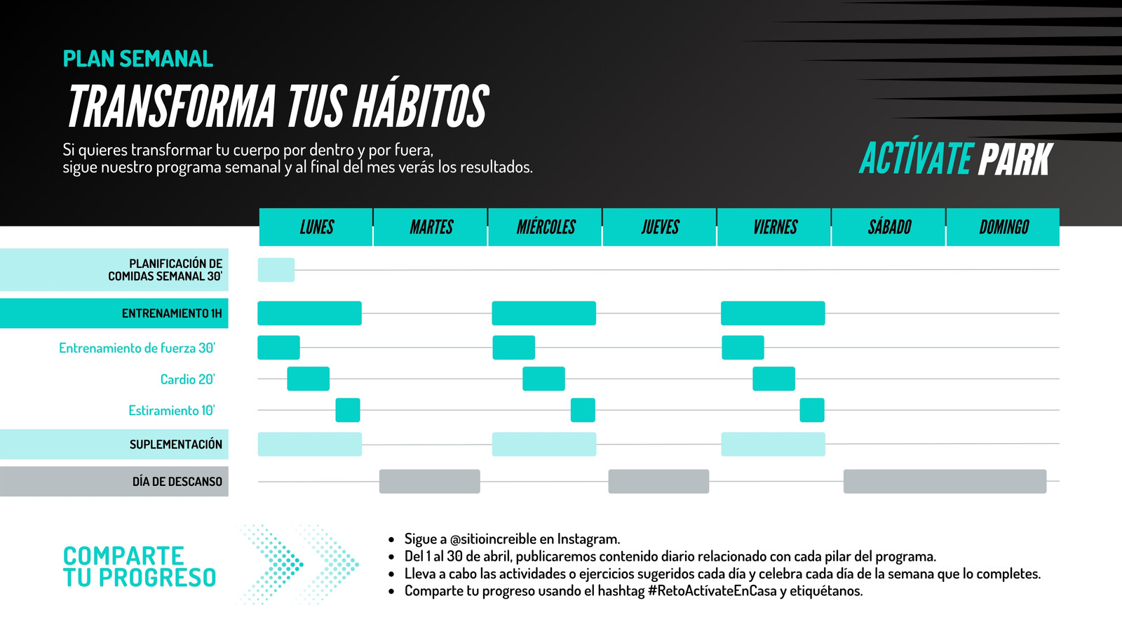 Gráfico de Gantt para fitness coach moderno en turquesa con negro y blanco 