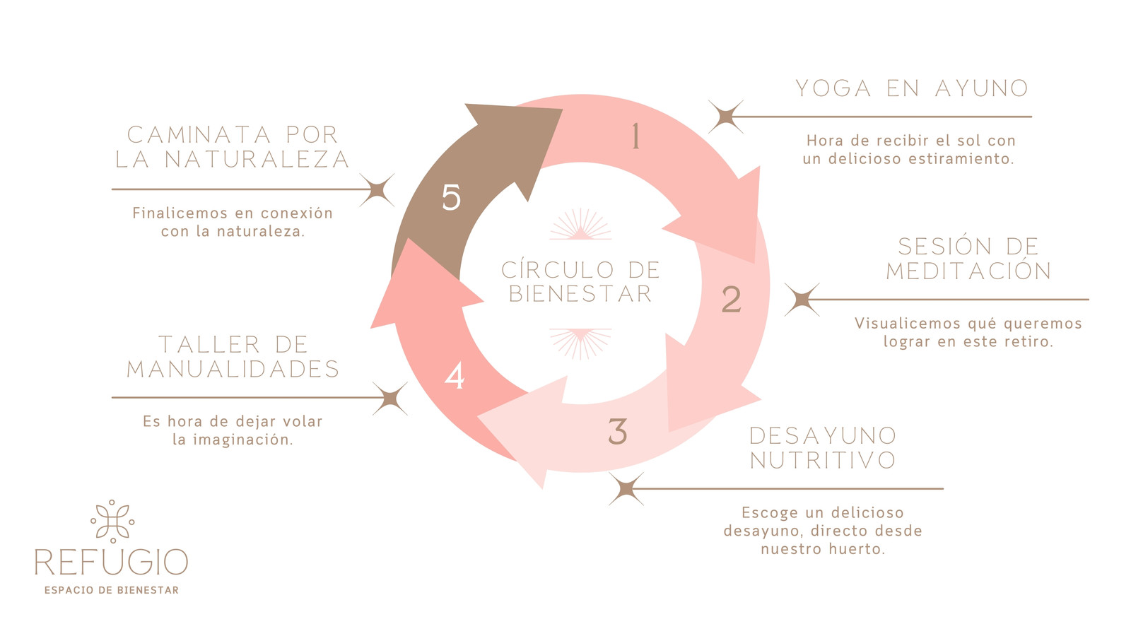 Diagrama de Flujo para wellness retreat femenina en rosa claro con beige y blanco