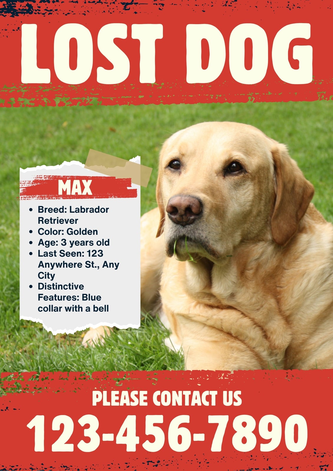 Red Lost Dog Missing Pet Poster