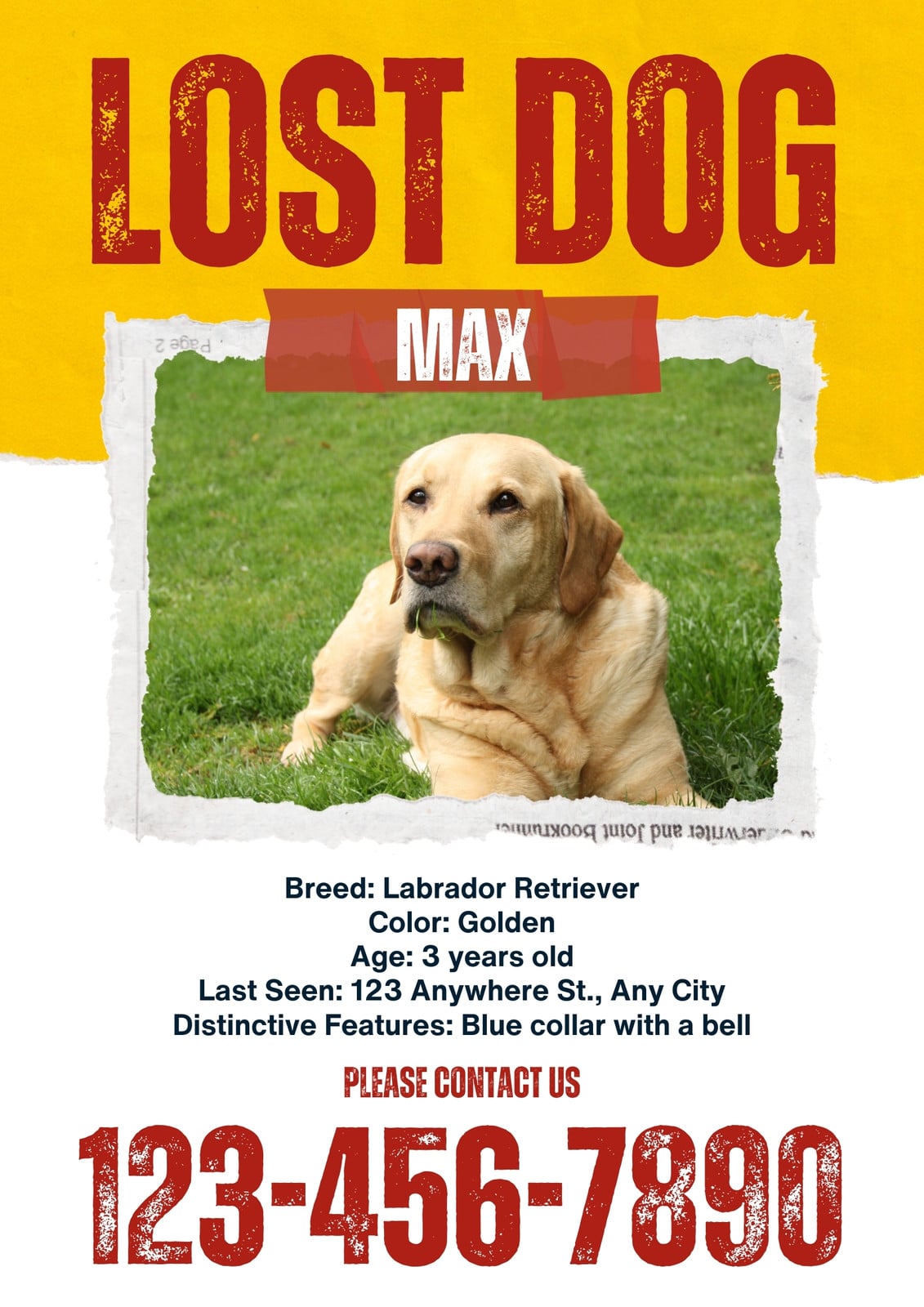 Yellow White and Red Lost Dog Missing Pet Poster