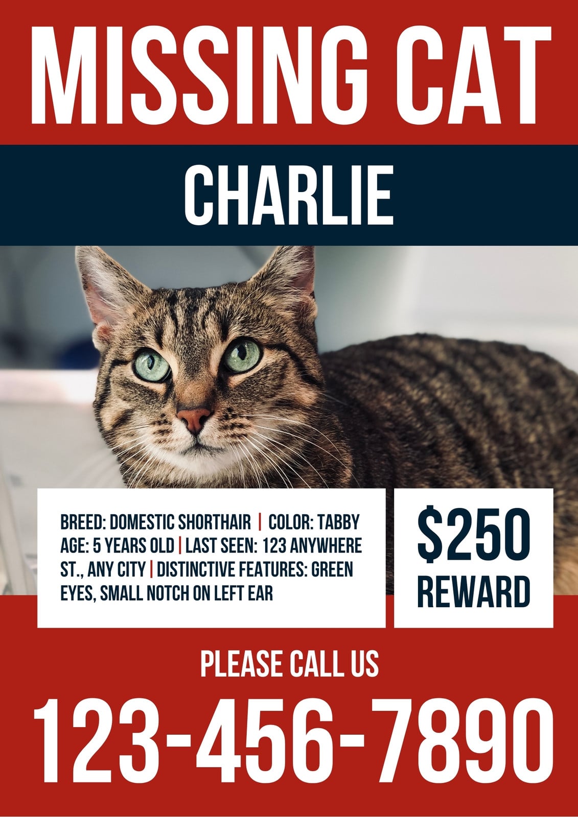 Red Missing Pet Poster