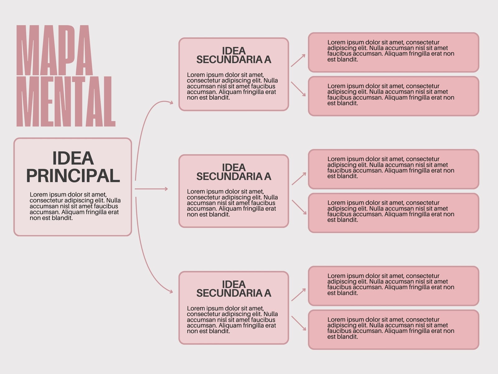 Gráfica Mapa Conceptual Mental Ideas Bloques Flechas Brainstorming Aesthetic Rosa
