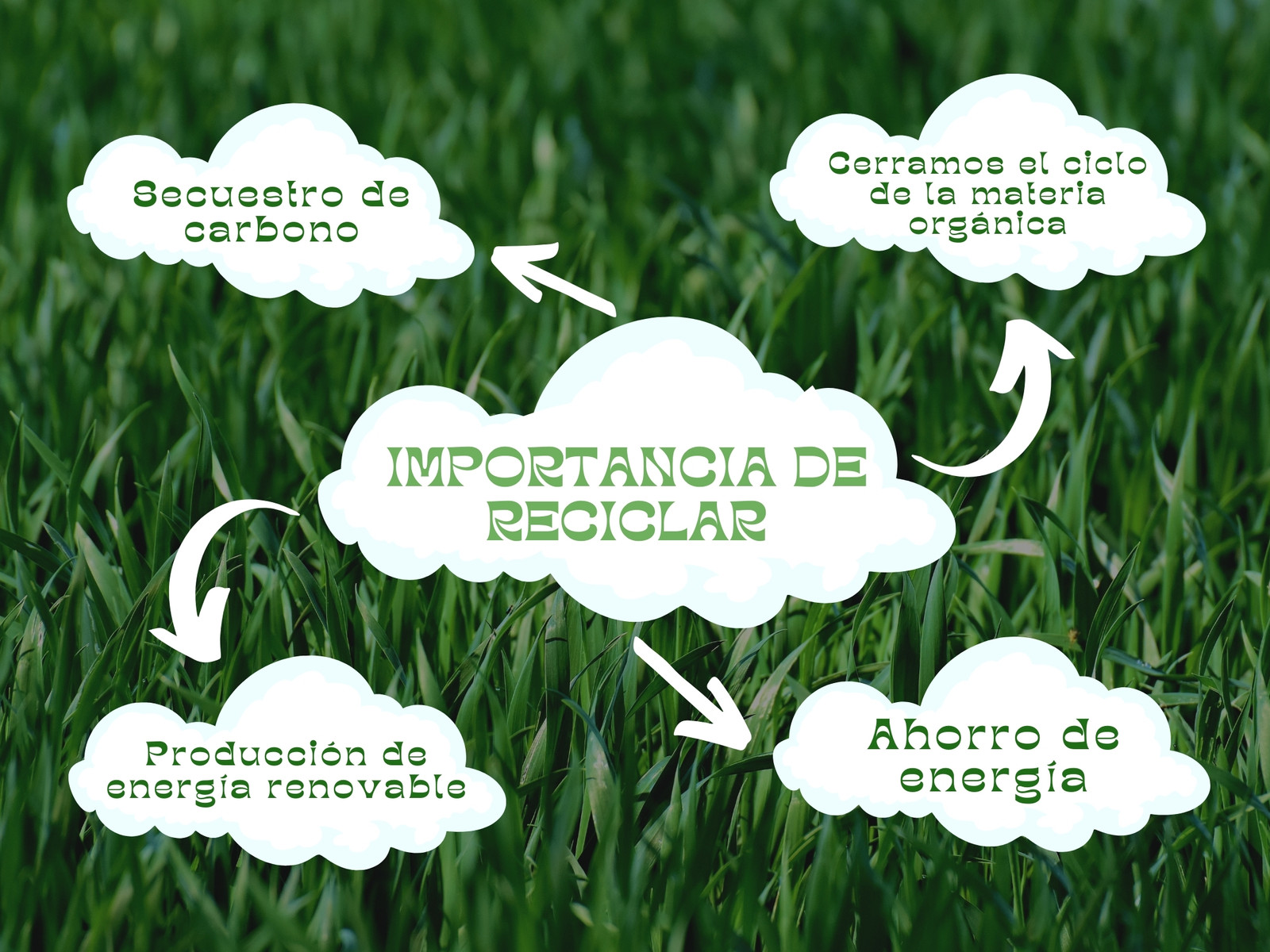 Gráfico Mapa Conceptual Reciclaje Sencillo Verde y Blanco