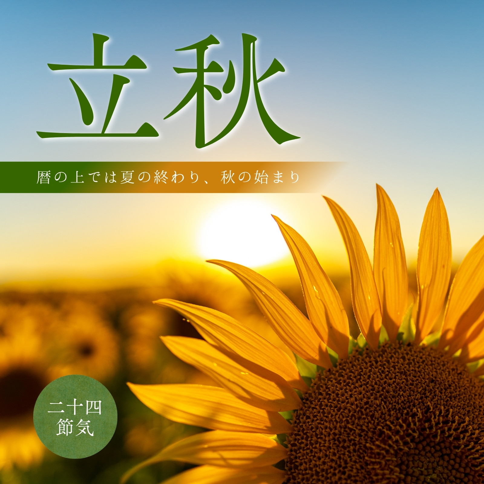 黄色 ノスタルジック 二十四節気 立秋 暦 お知らせ インスタグラム 投稿