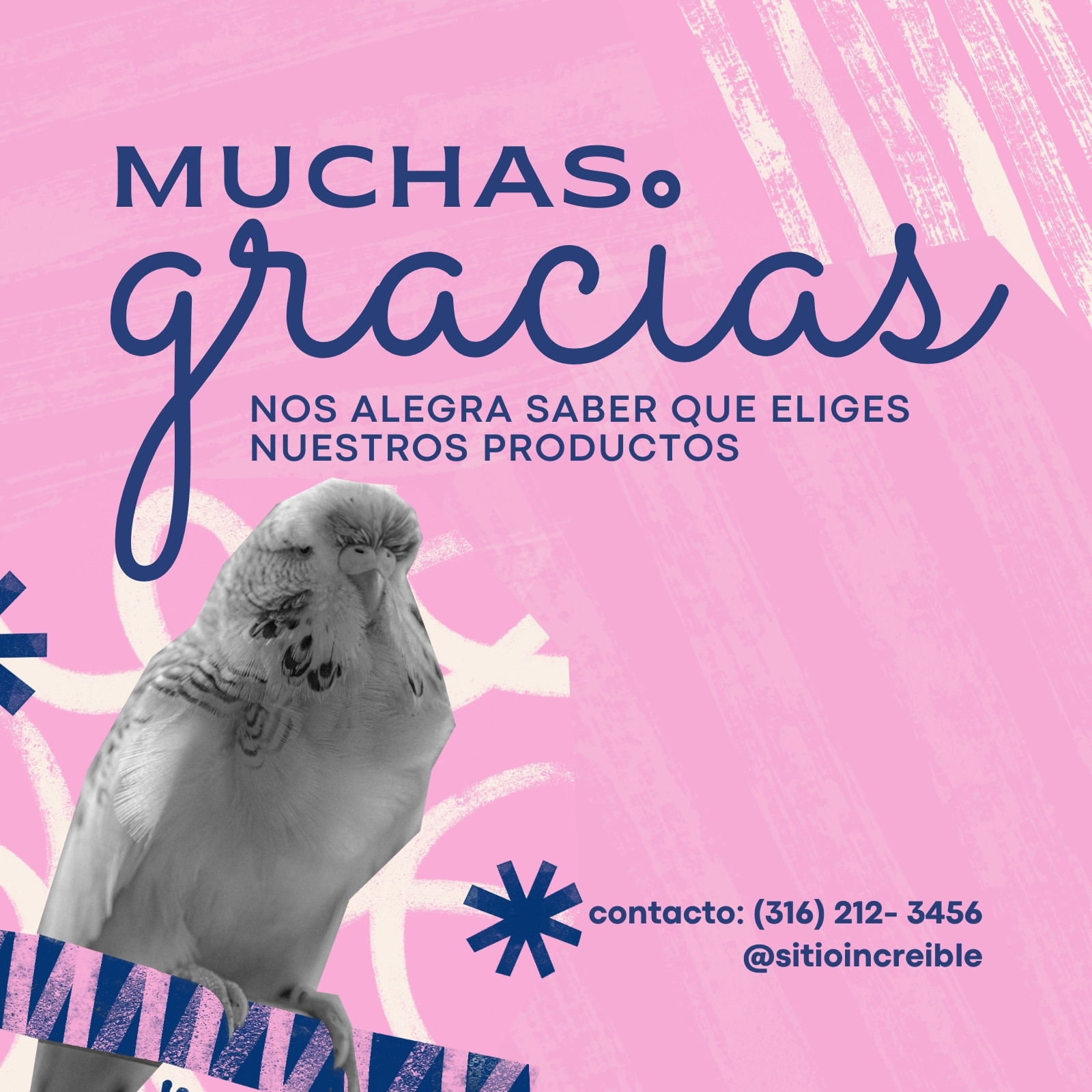 Tarjeta Cuadrada Gracias Por Tu Compra Comercio Producto Ilustrativo Moderno Azul Y Rosa
