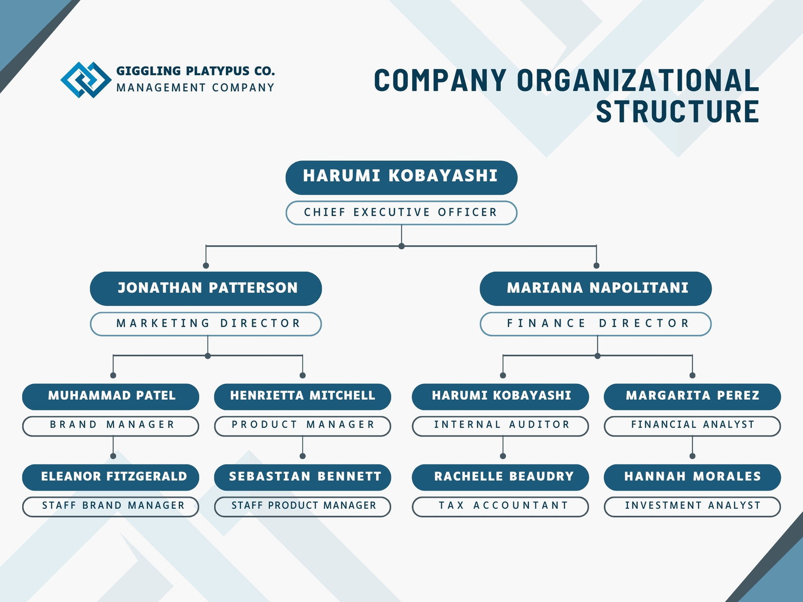 White and Blue Modern Organizational Structure Graph