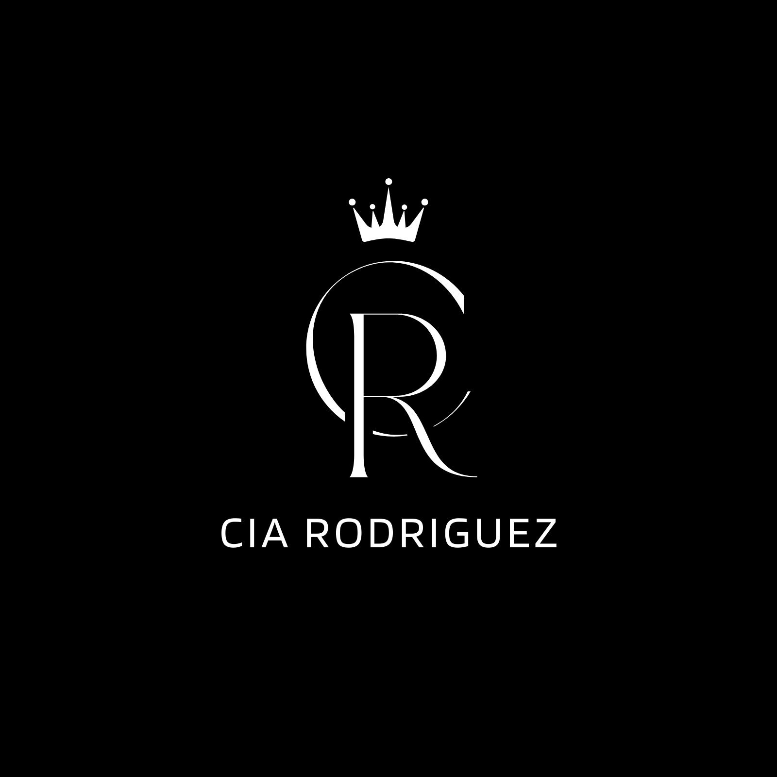 Professional Company Logo