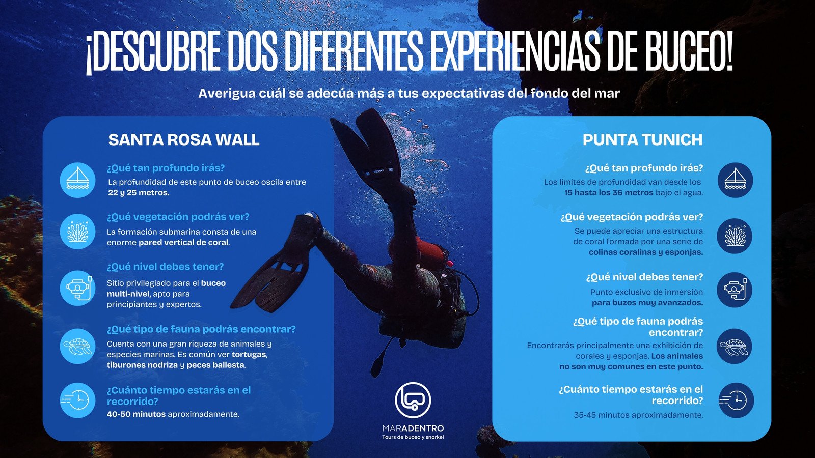 Gráfico comparativo para agencia de buceo innovador en azul oscuro con azul claro