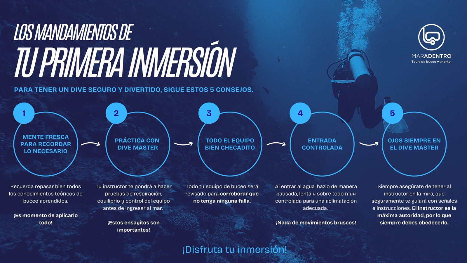 Diagrama de flujo para agencia de buceo innovadora en azul oscuro con azul claro