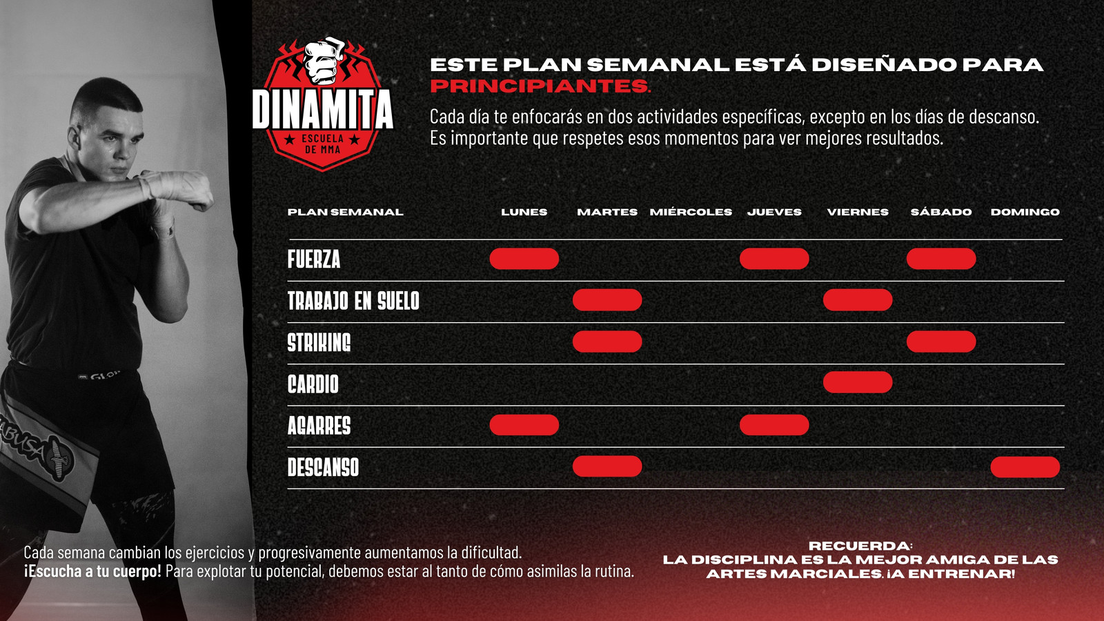Gráfico de Gantt para academia de MMA estilo collage en rojo con negro