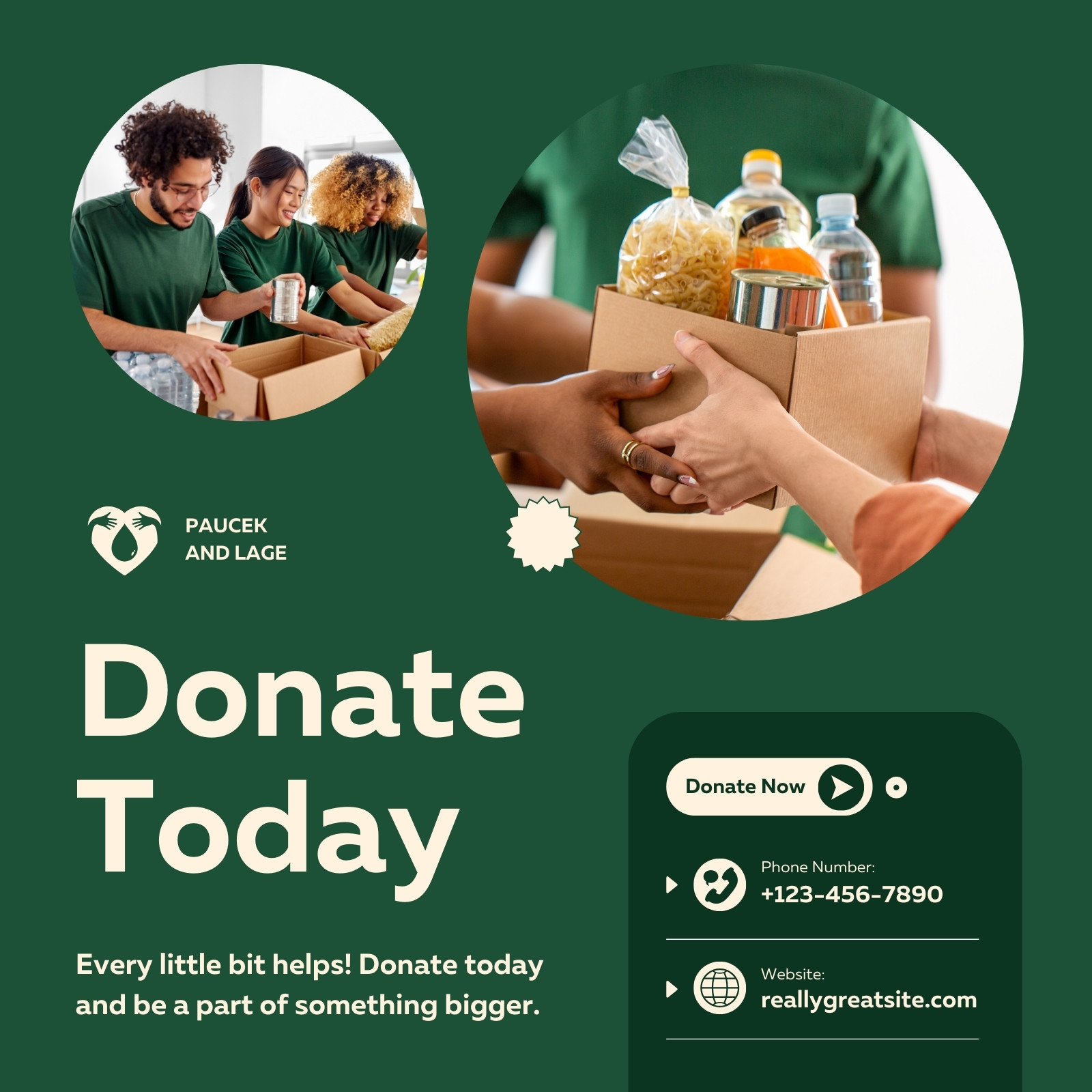 Green Cream Modern Donate LinkedIn Post