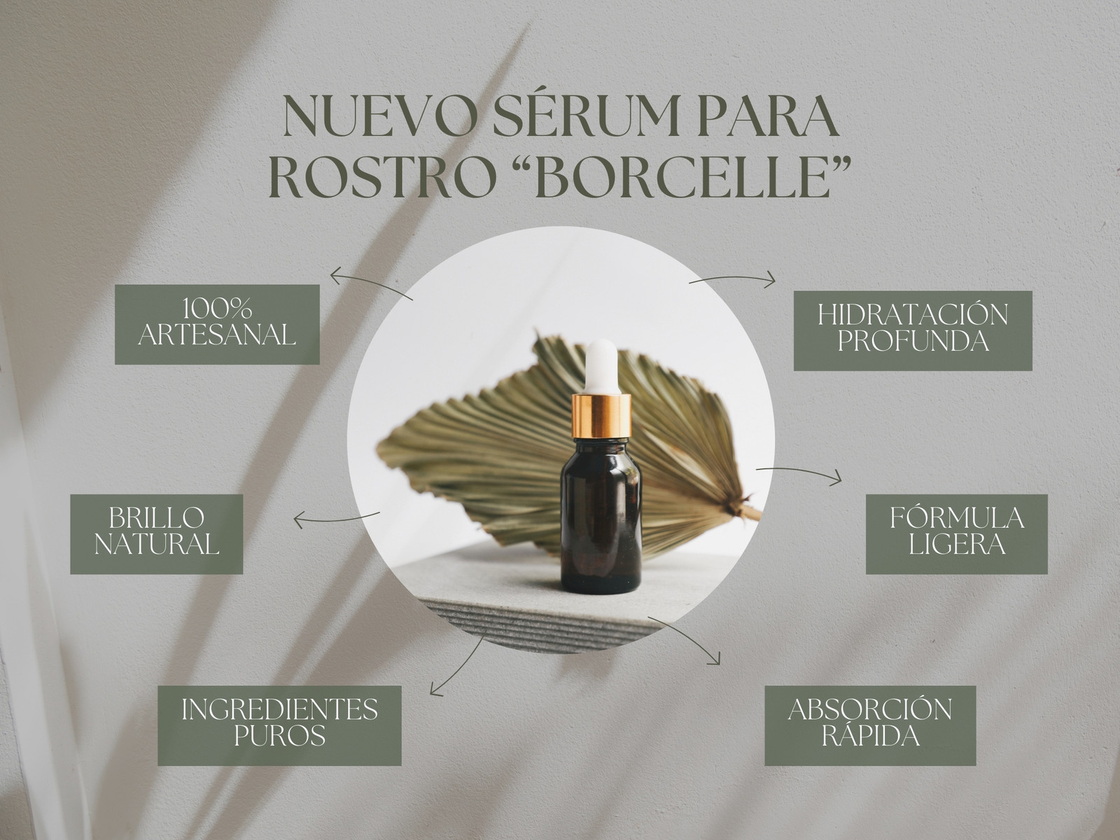 Gráfico Presentación Nuevo Producto Delicado Verde