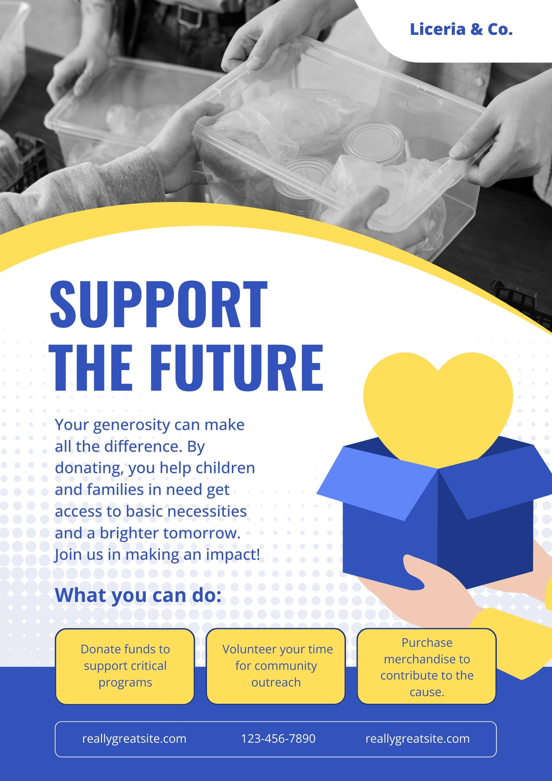 Blue Yellow and White Donor or Volunteer Flyer