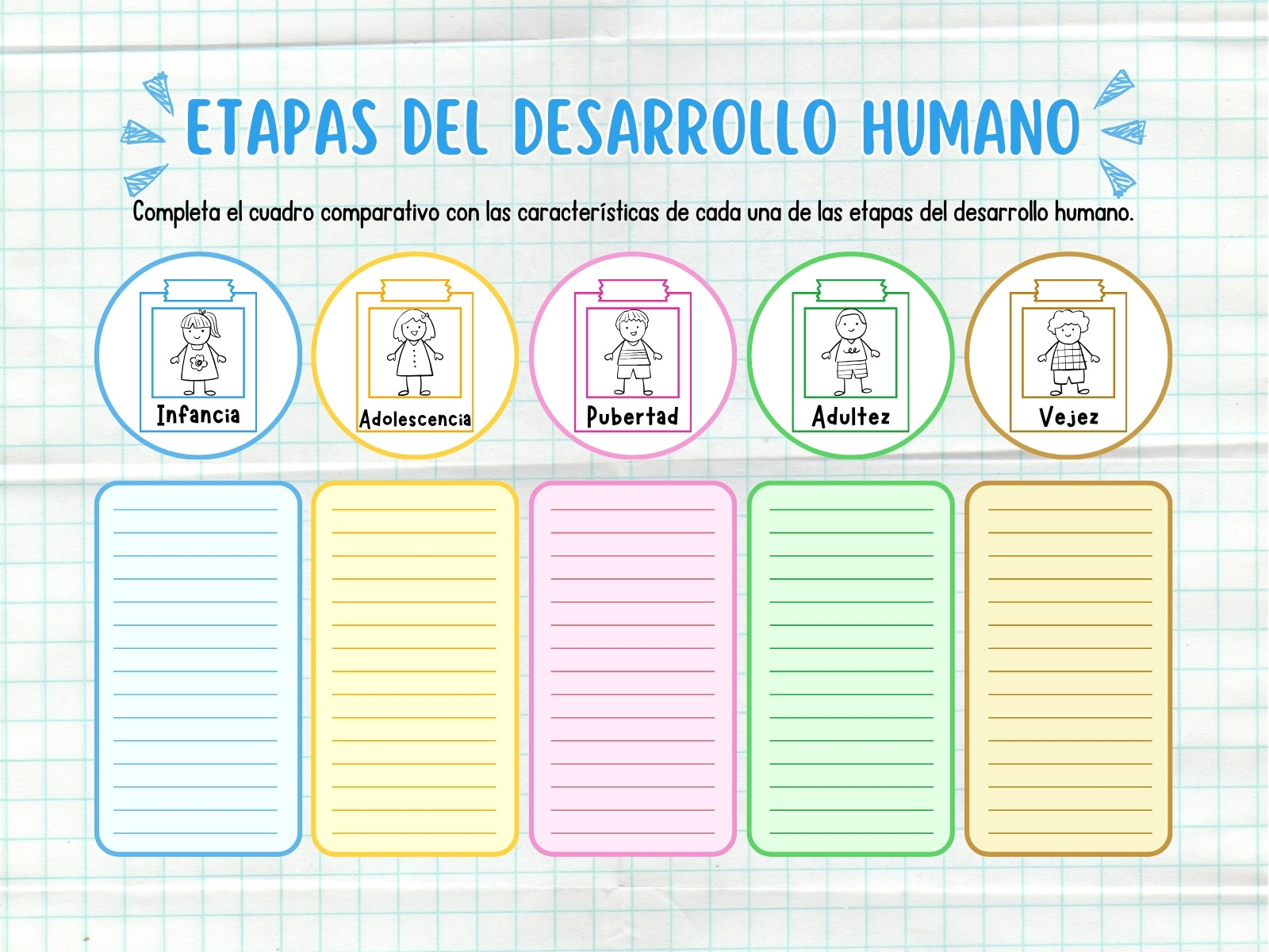 Cuadro comparativo etapas del desarrollo humano para completar colorido