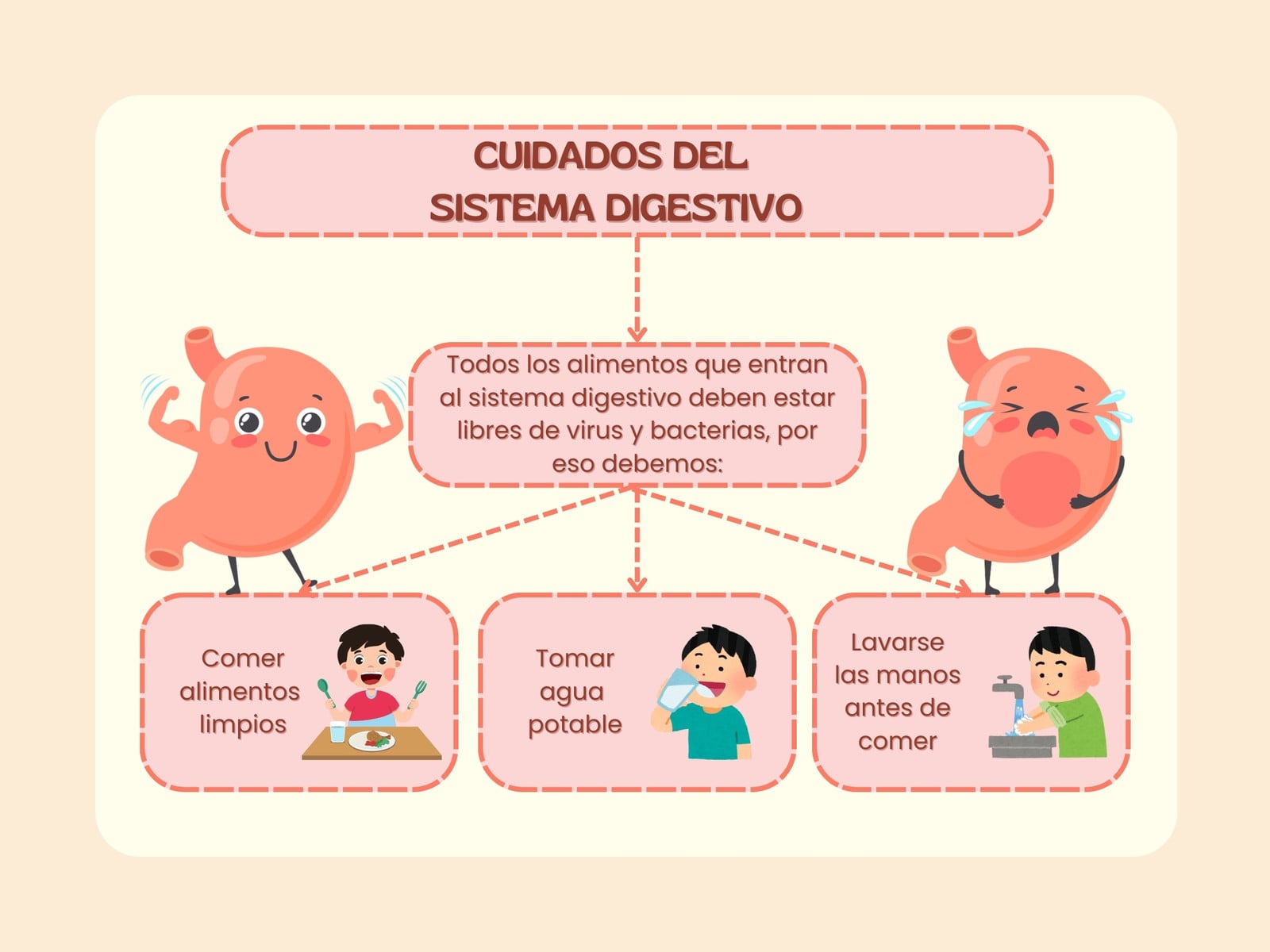 Mapa conceptual Cuidados del sistema digestivo ilustrado crema
