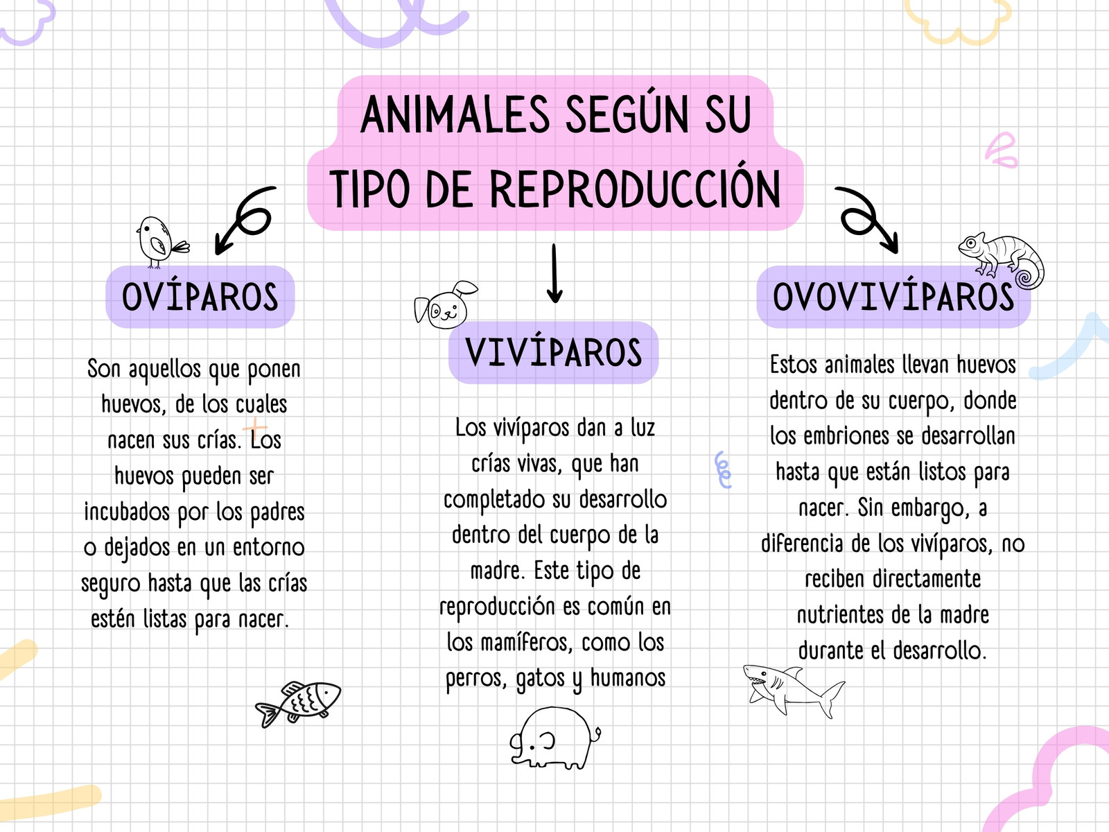 Mapa Conceptual sobre los Animales según su Reproducción estilo doodle colorido