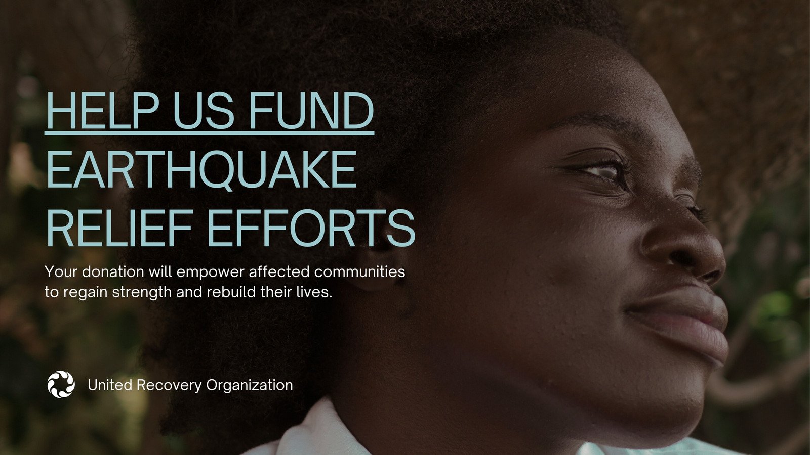 Earthquake Disaster Relief Non-profit Website in Brown Teal Style