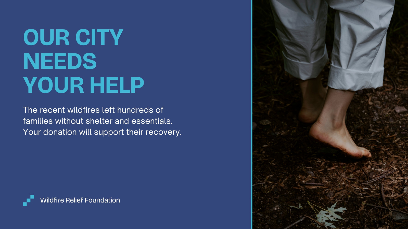 Wildfire Disaster Relief Non-profit Website in Dark Blue Teal Grey Style