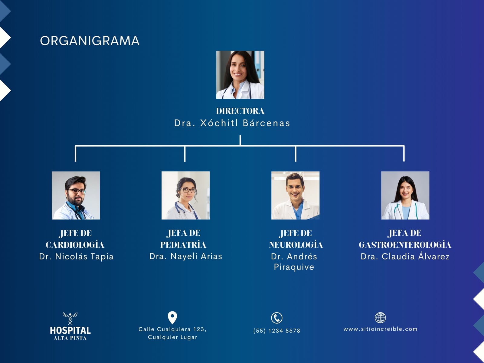 Grafica Organigrama Hospital Profesional Azul