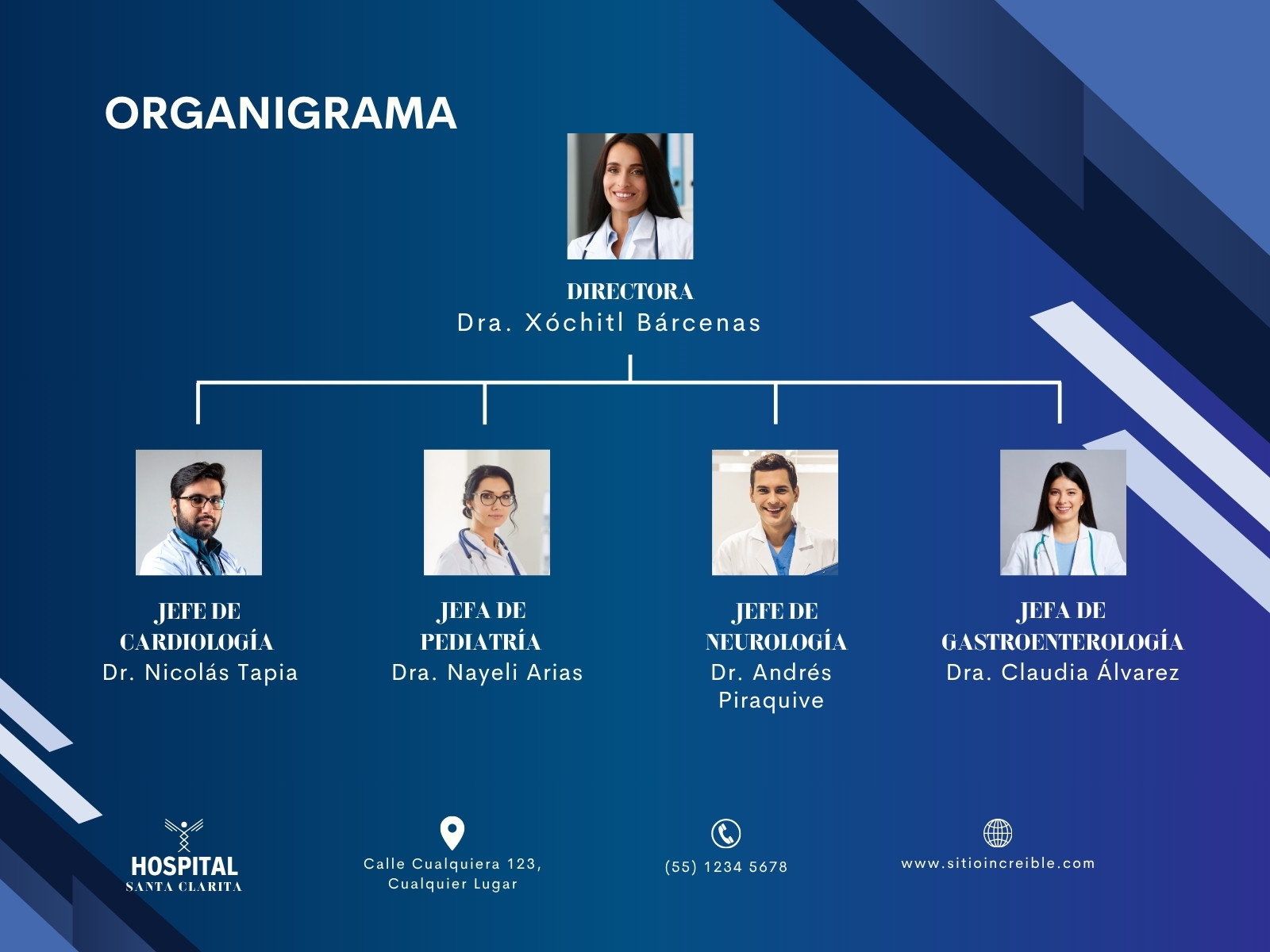 Grafica Organigrama Hospital Profesional Azul