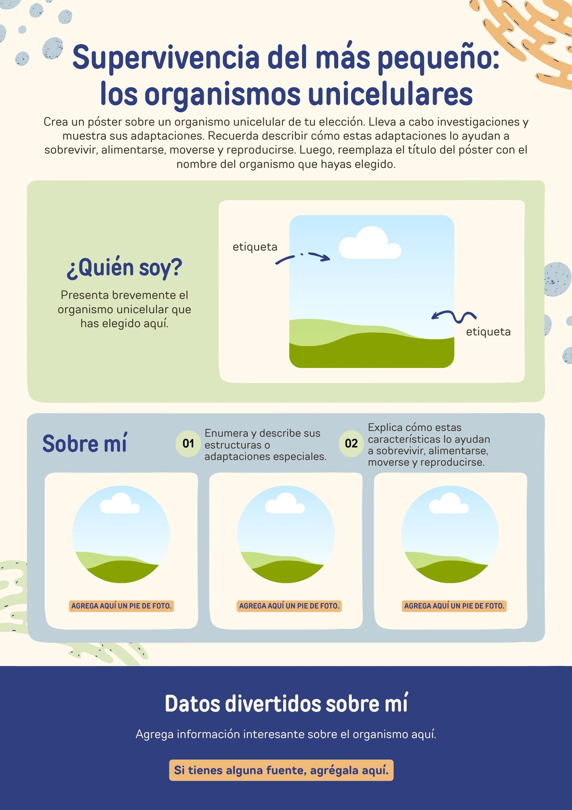 Cartel Educativo Adaptaciones de los Organismos Unicelulares en Estilo Ligeramente Texturizado Dibujado a Mano verde azul y crema