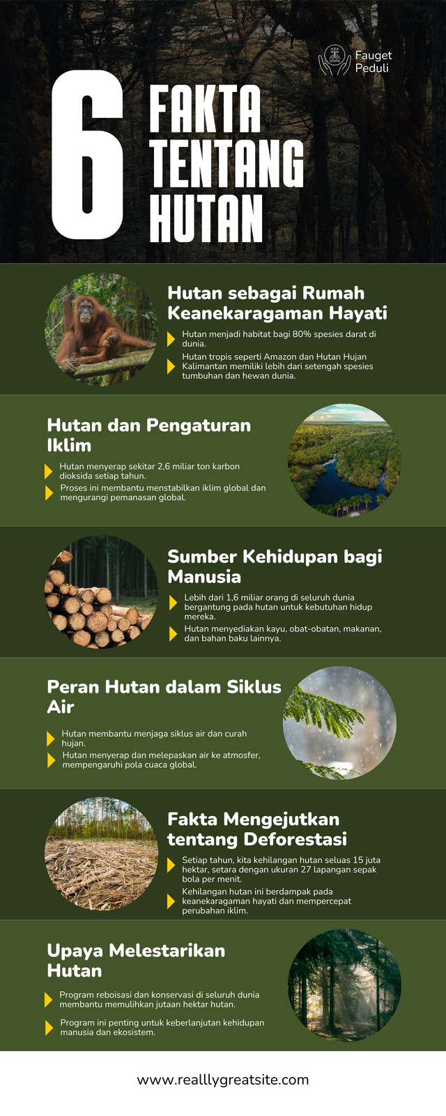 Hijau Ilustrasi Foto Fakta Unik Hutan Infografis