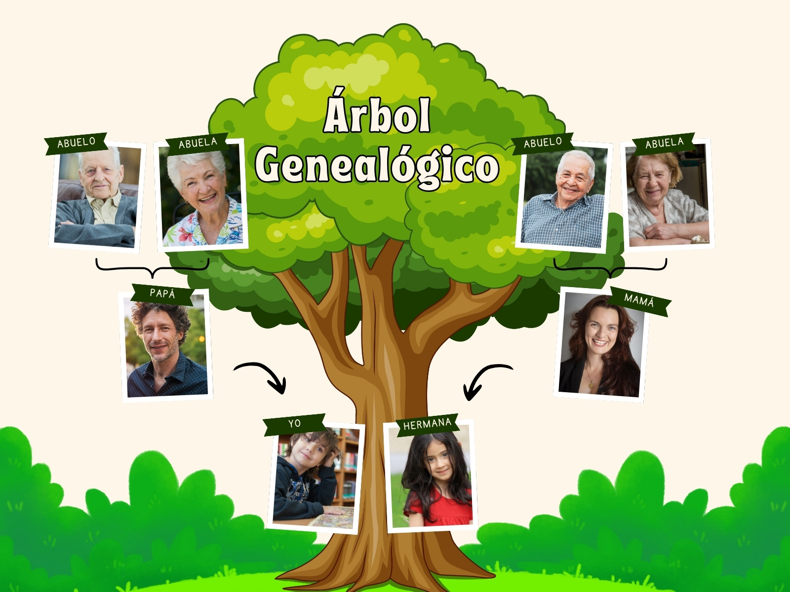 Grafico árbol genealógico familiar ilustrativo infantil verde y beis