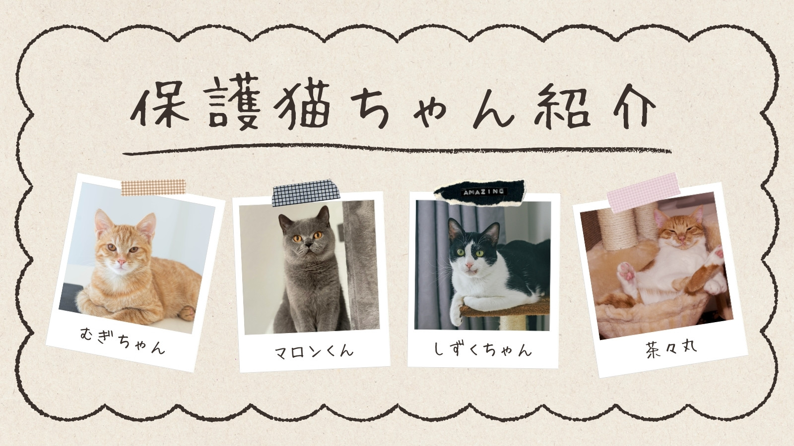 猫手書き無料テンプレートデザイン。イラストや画像付きも豊富 - Canva