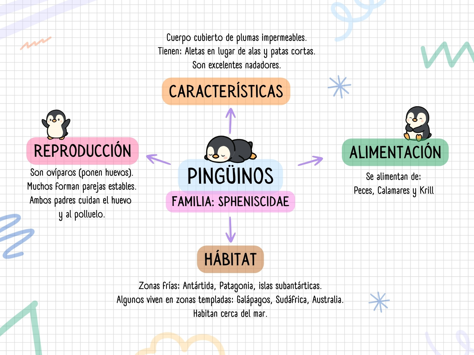 Mapa Conceptual sobre los Pingüinos estilo doodle colorido