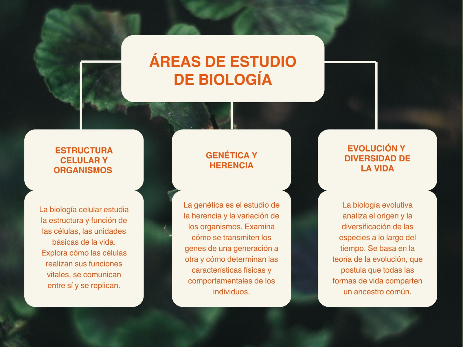 Mapa Conceptual Proyecto Biología moderno naranja beige