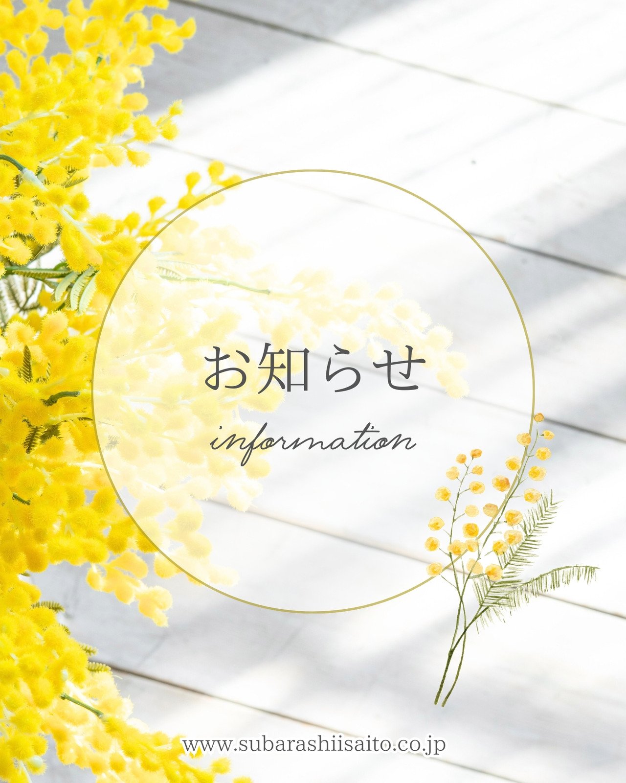 黄色 白 ナチュラル ミモザ お知らせ インスタグラム 投稿 