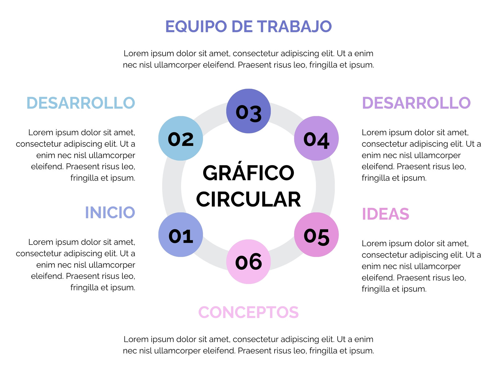 Gráfico Circular Proceso Pasos Datos Información Profesional Corporativo Azul Rosa
