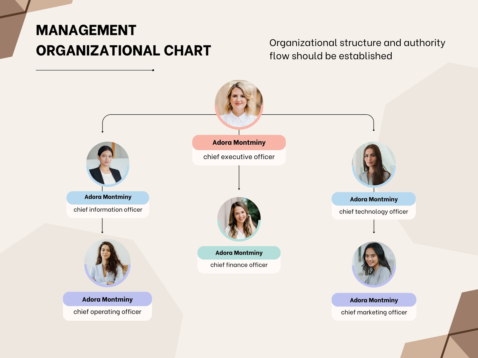 Brown Modern Management Organizational Chart Graph