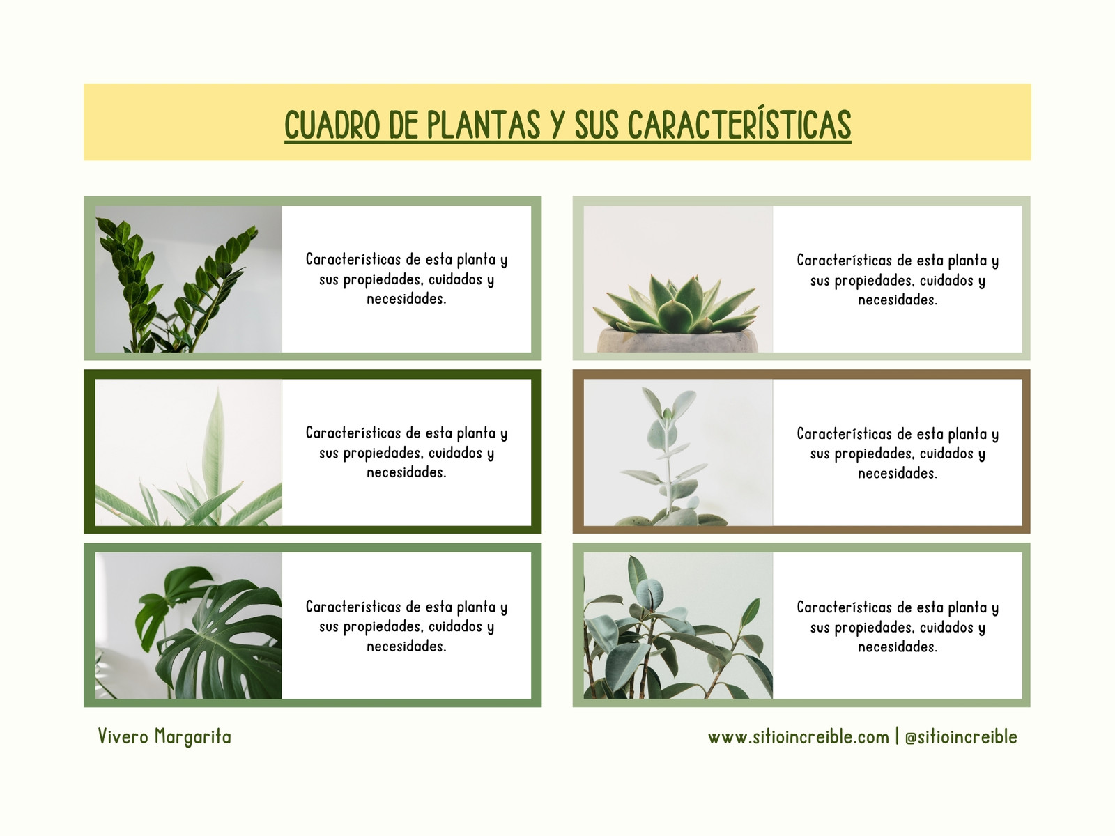 Gráfica Cuadro de Fotos y Características Simple Verde