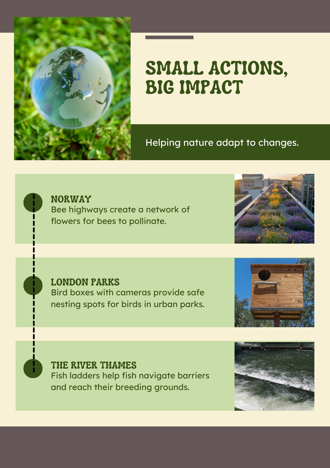 Helping Wildlife Adapt Infographic In Green and Brown Photographic Style