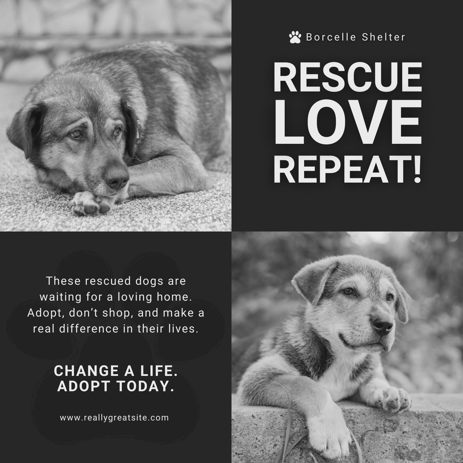 Black and White Modern Dogs Rescue Facebook Post