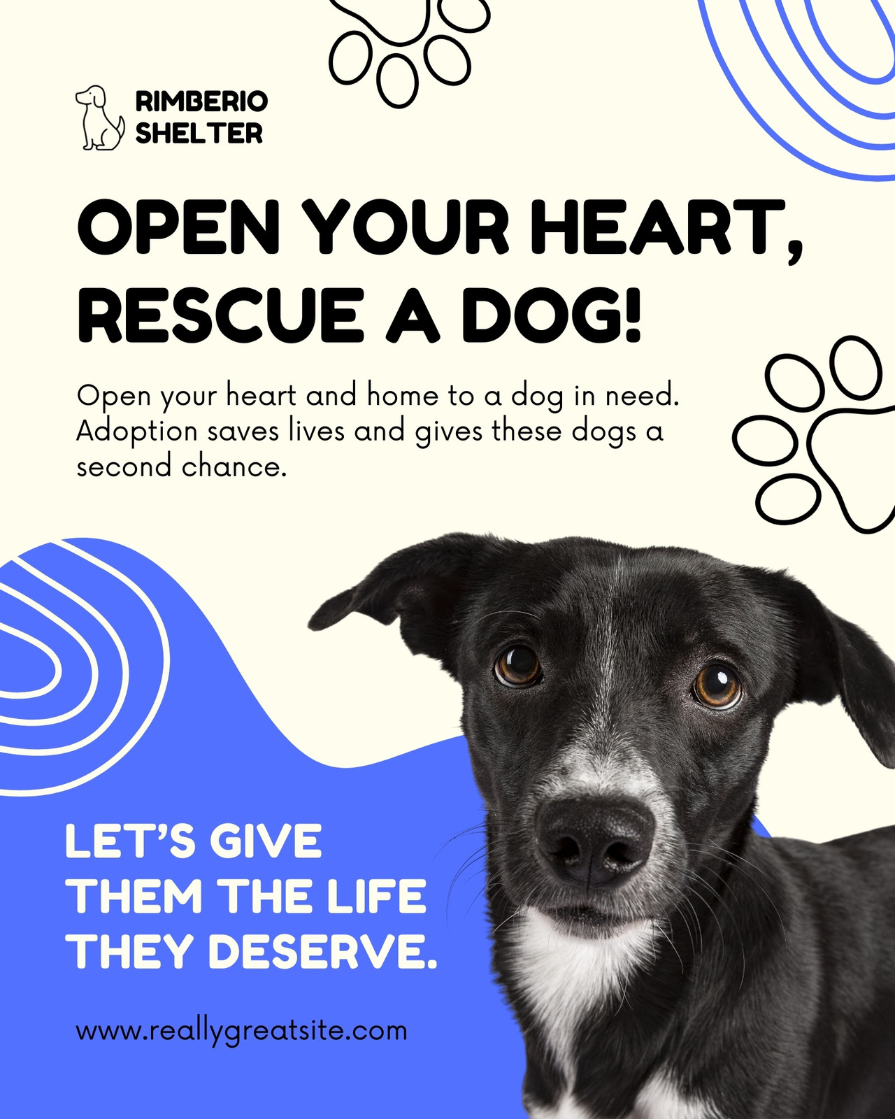 Black And Blue Organic Dogs Rescue Instagram Post